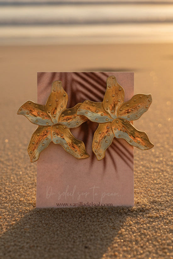 Tropicana - Boucles d'oreilles acier inoxydable