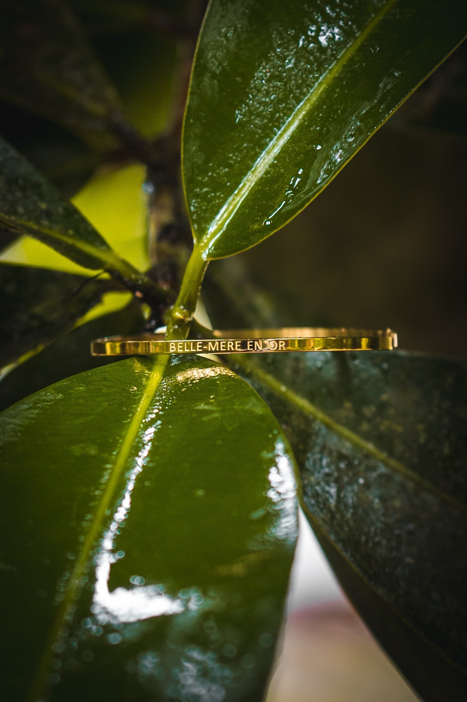 Jonc "BELLE-MÈRE EN OR" doré en acier inoxydable