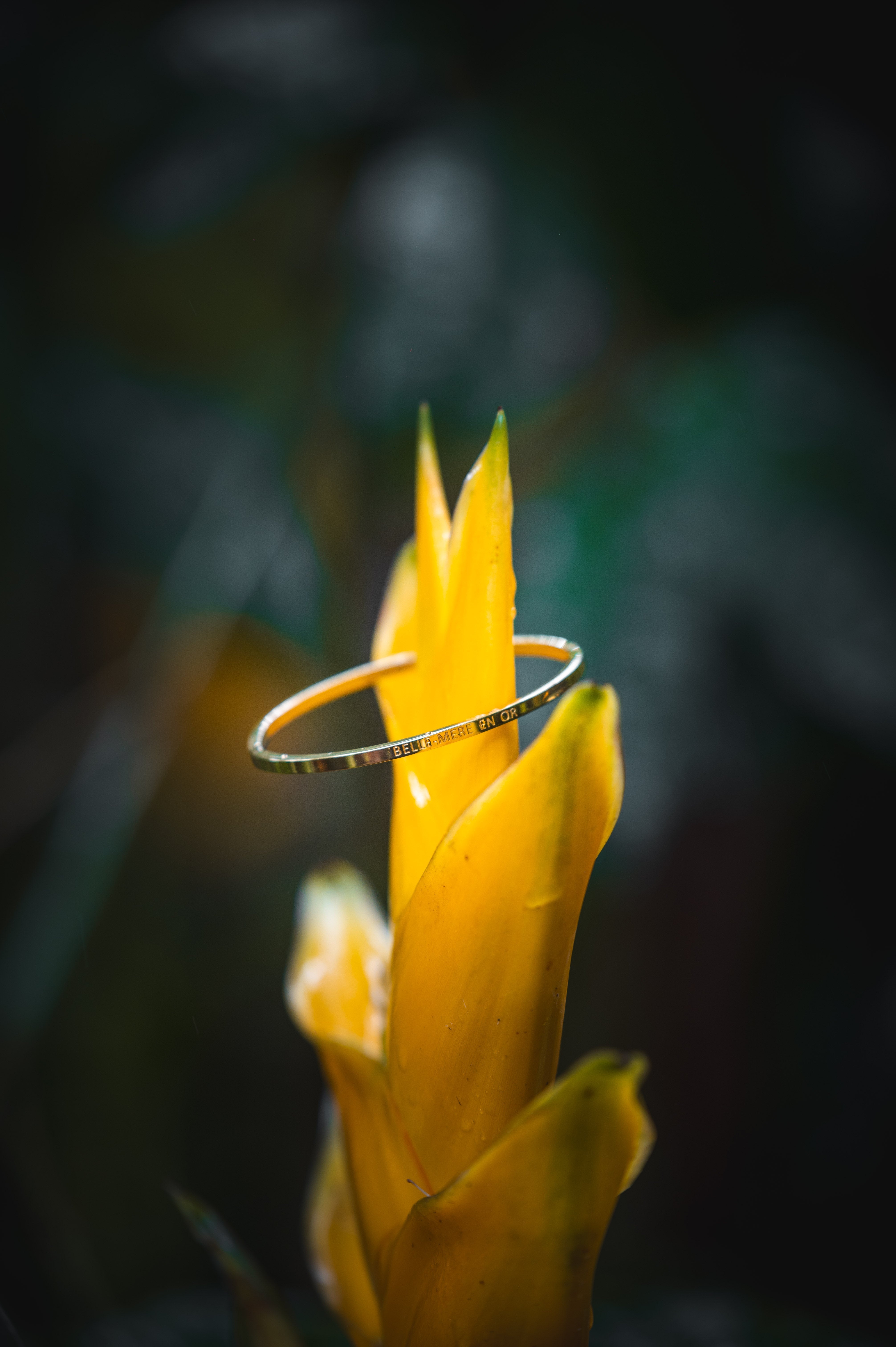 Jonc "BELLE-MÈRE EN OR" doré en acier inoxydable