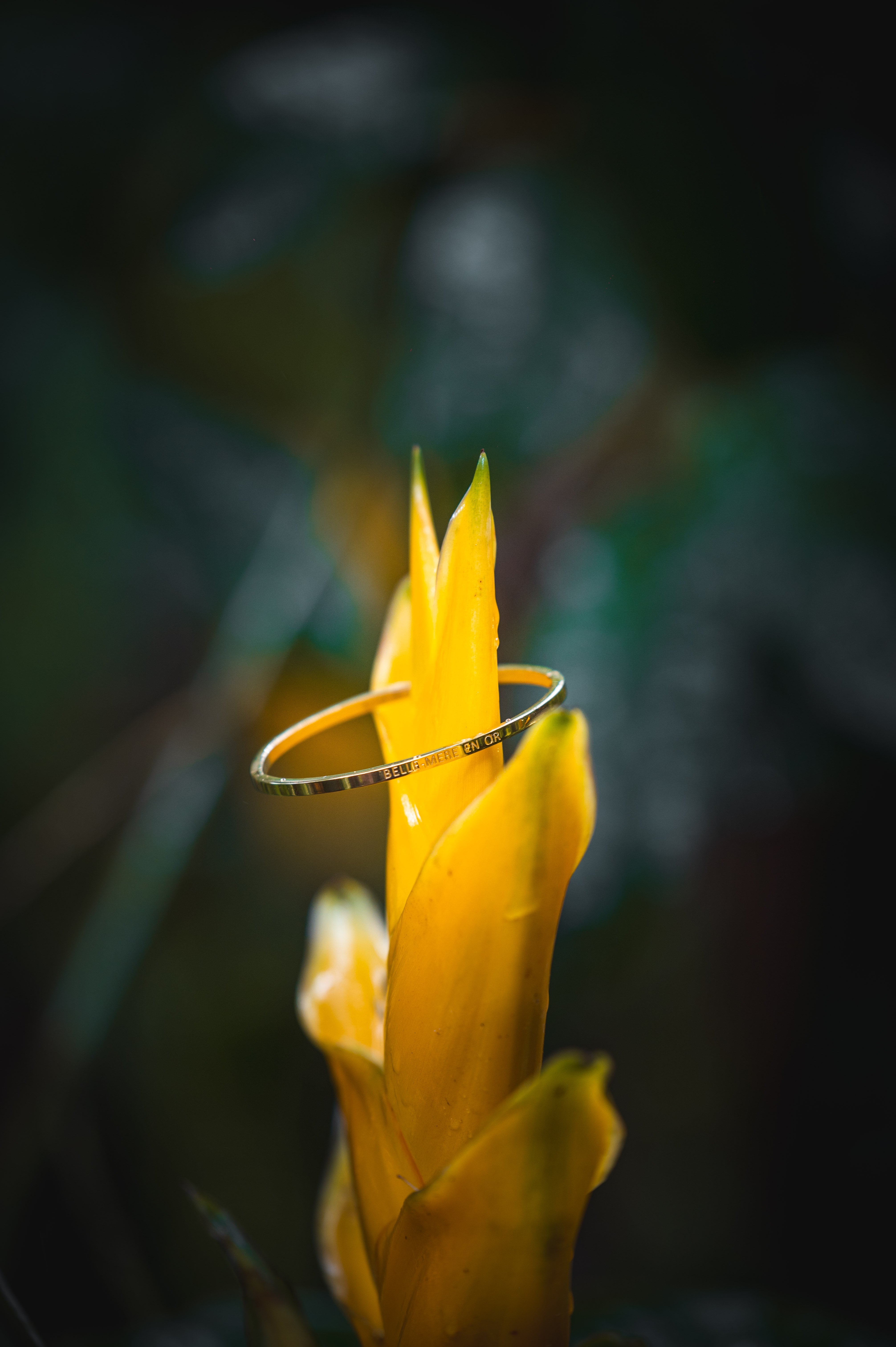 Brazalete "SUEGRA DE ORO" de acero inoxidable bañado en oro