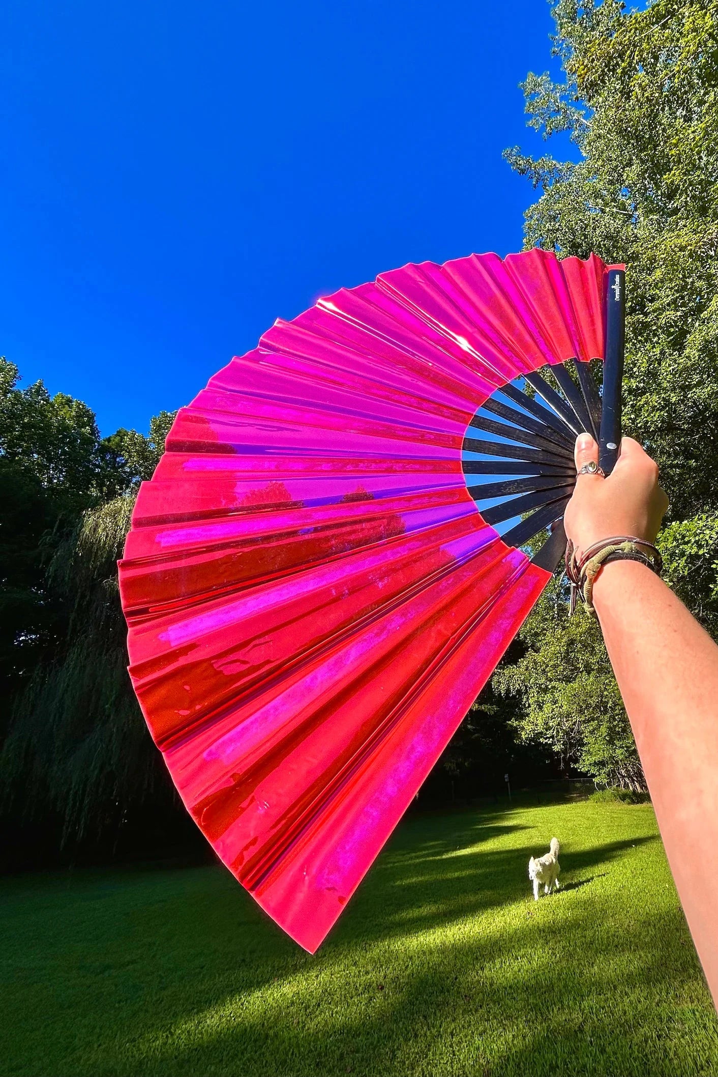 Éventail holographique