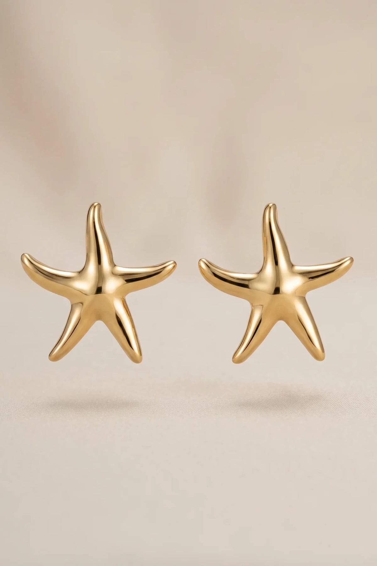 Silky stars - Petites pointes étoiles de mer en acier inoxydable