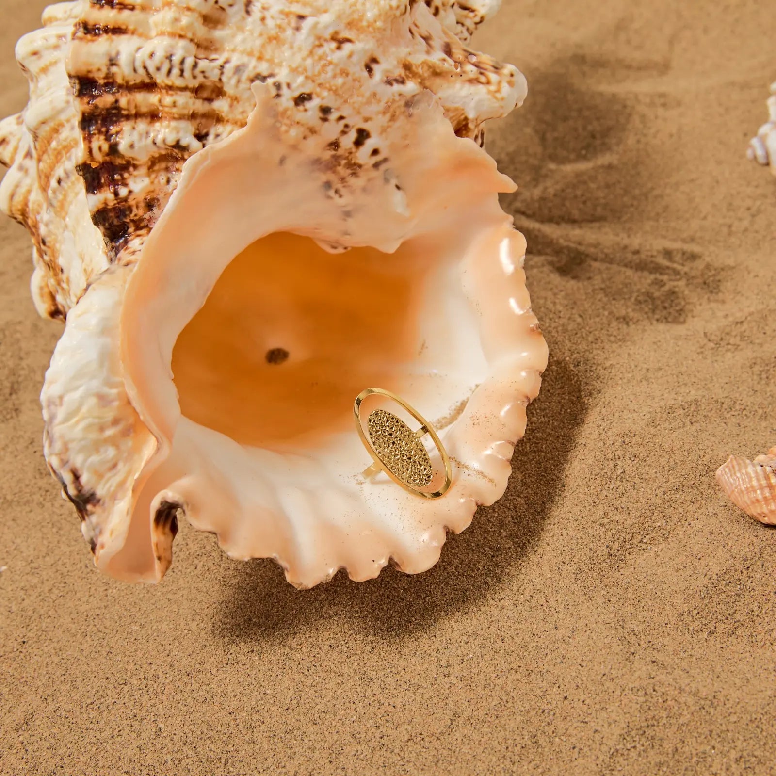 Radiant - Bague acier inoxydable