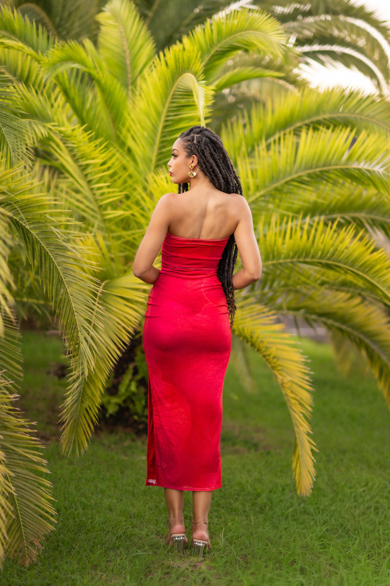 Red Rose - Robe longue rouge