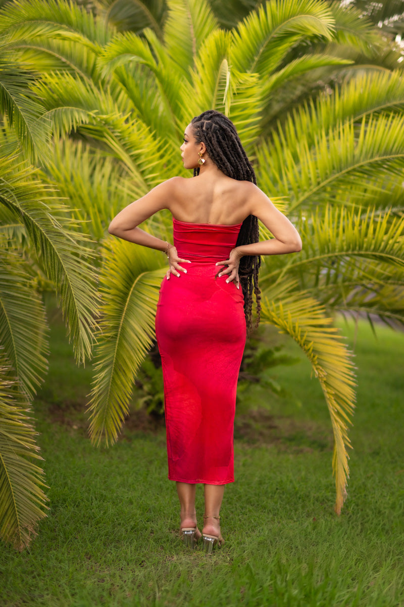 Red Rose - Robe longue rouge