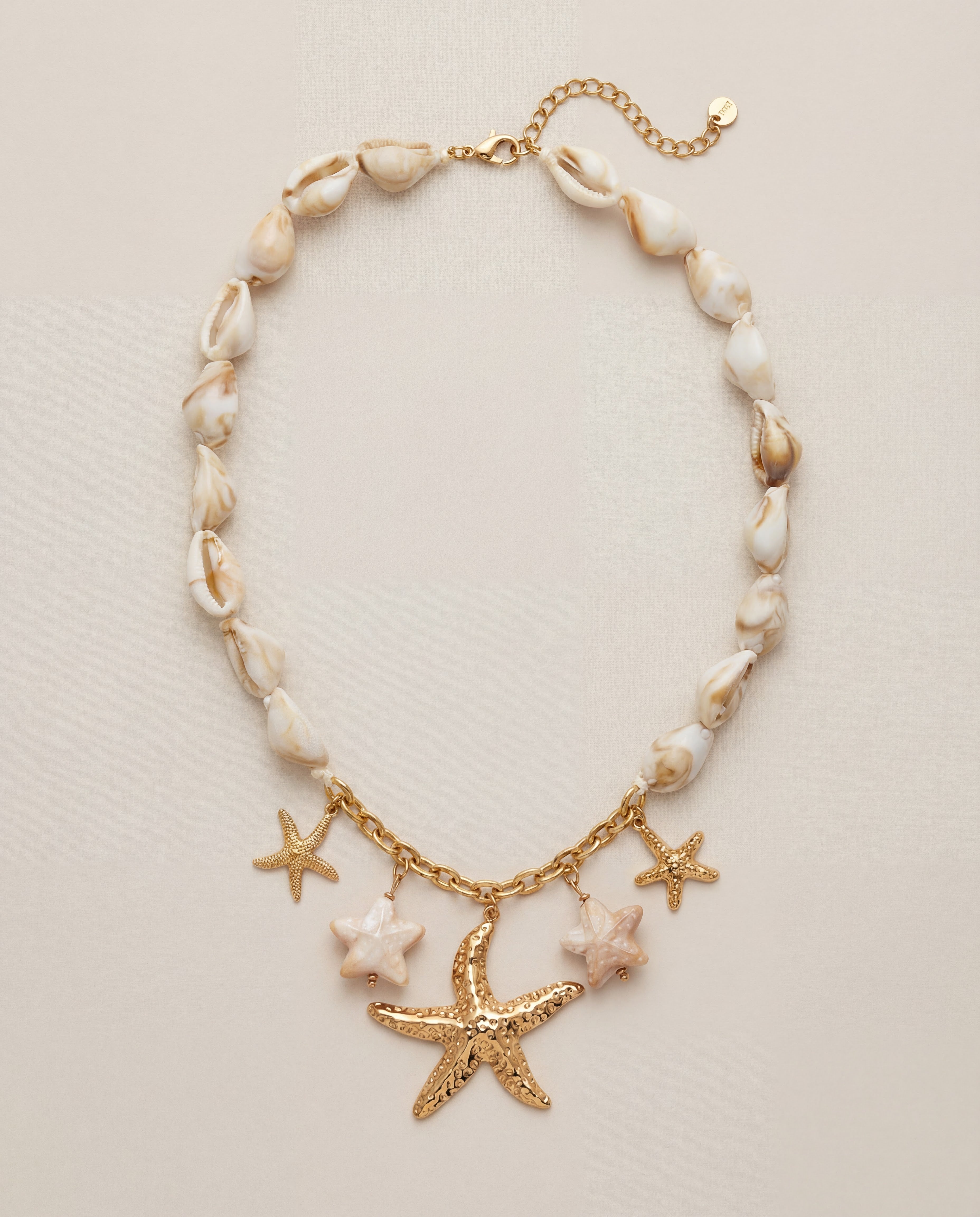 Ocean child - Collier en acier inoxydable et cauris