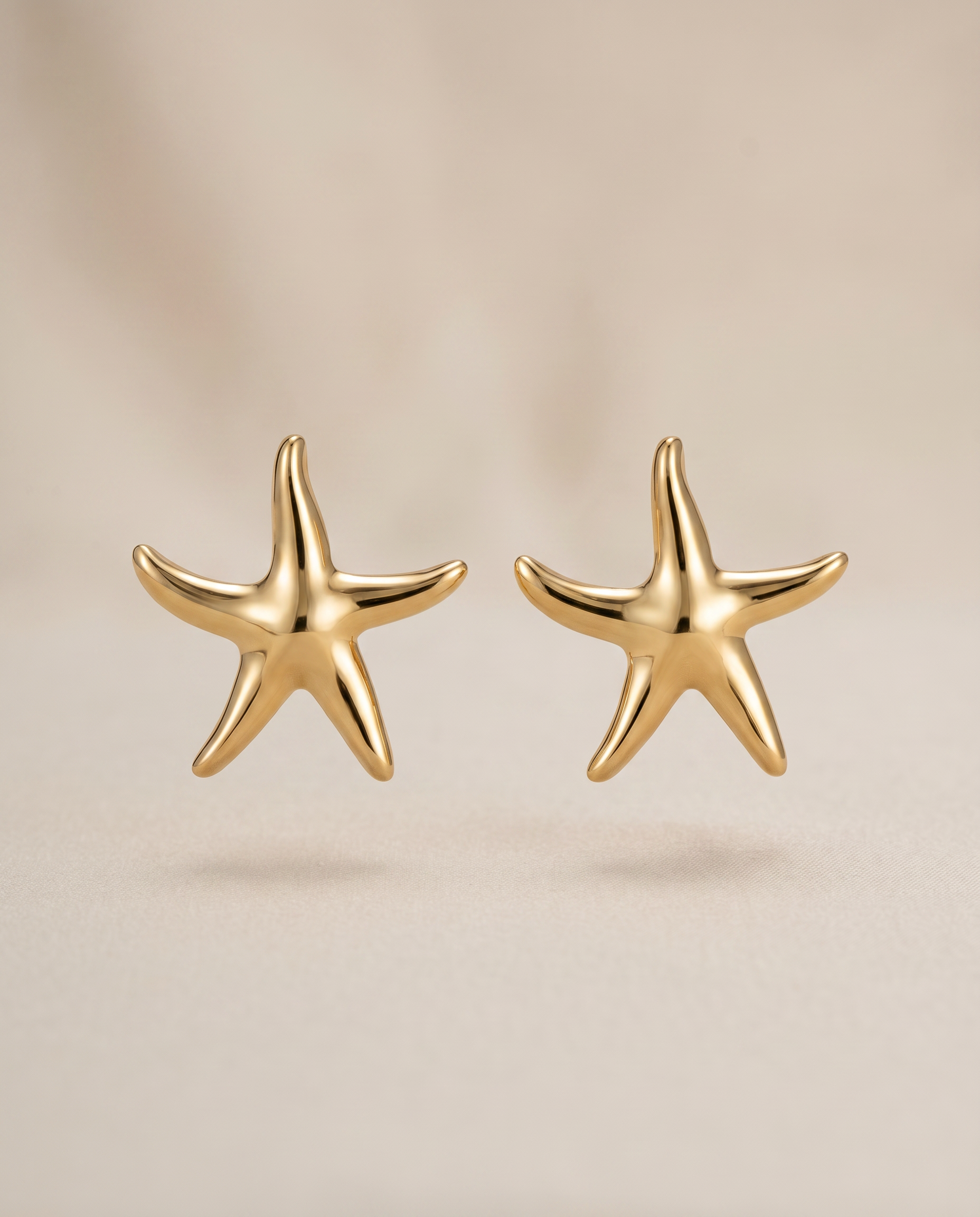 Silky stars -  Petites pointes étoiles de mer en acier inoxydable