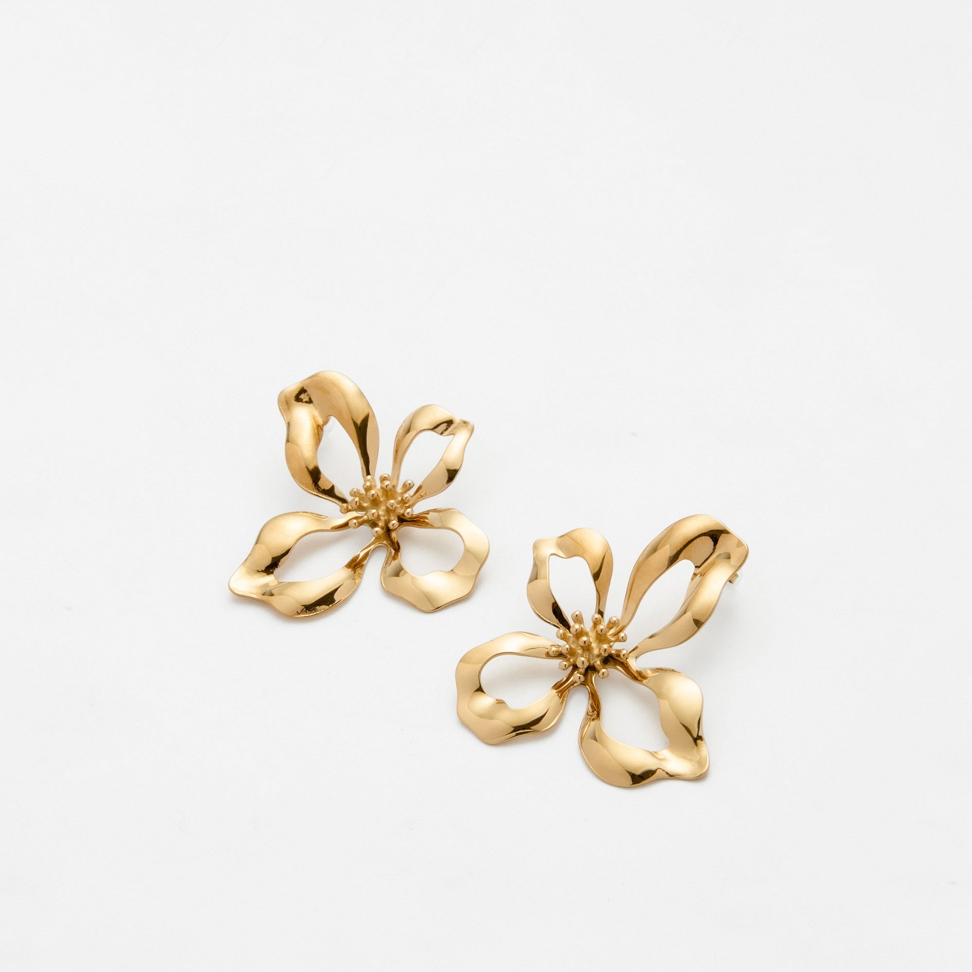 Caribéana - Boucles d'oreilles acier inoxydable